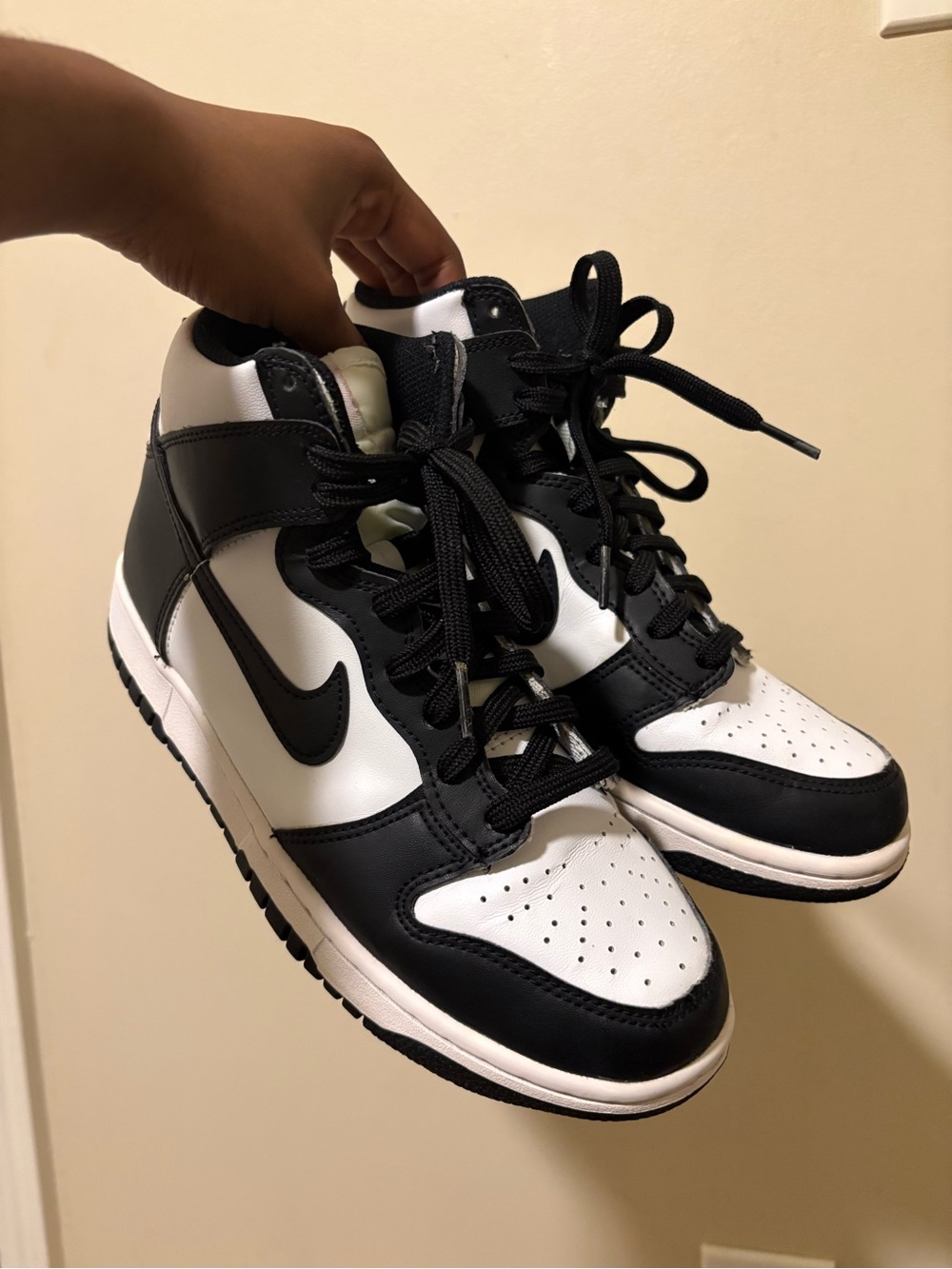 Nike Dunk High